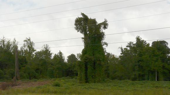 P1000451b