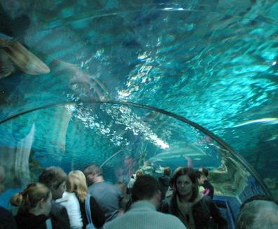 Underwater tunnel
