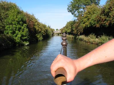 The rudder handle