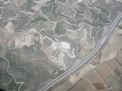 Ploughed fields