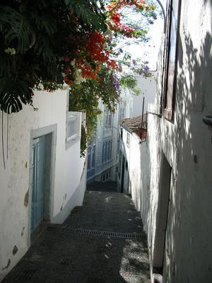 Alley steps