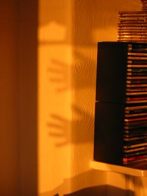Twin shadows