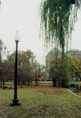Boston Common