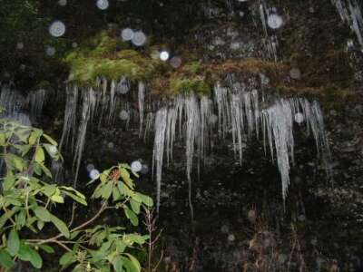 Icicles