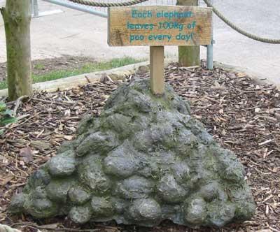 Fake elephant poo