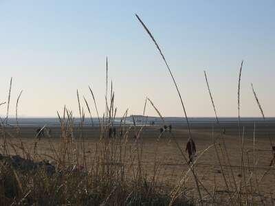 Beach, grass foreground