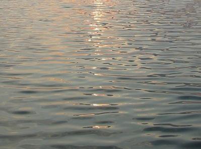 Reflections