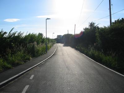 Tarmaced country lane