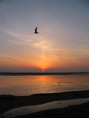 Sun pillar atmospheric effect